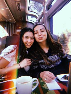bri-train.jpg